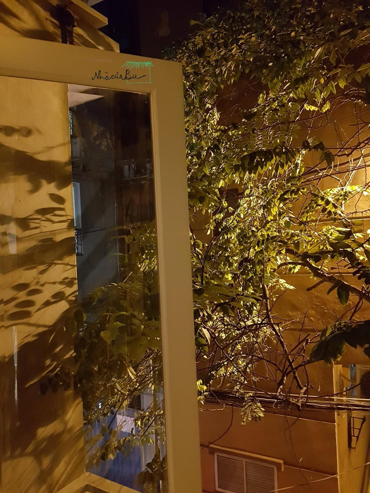 Bu Ανόι Εξωτερικό φωτογραφία